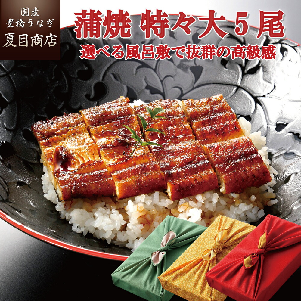 【エントリーでP10倍】プレゼント ギフト うなぎ ウナギ 鰻うなぎ 蒲焼き 211-230g×5尾 特々大サイズ 約10人前 風呂敷包み 送料無料 国産 愛知県産 専門店 お中元 土用の丑 土用の丑の日 誕生日 食べ物 真空パック 贈り物 喜ばれる 内祝い 60代 70代 80代|国産 豊橋うなぎ 夏目商店