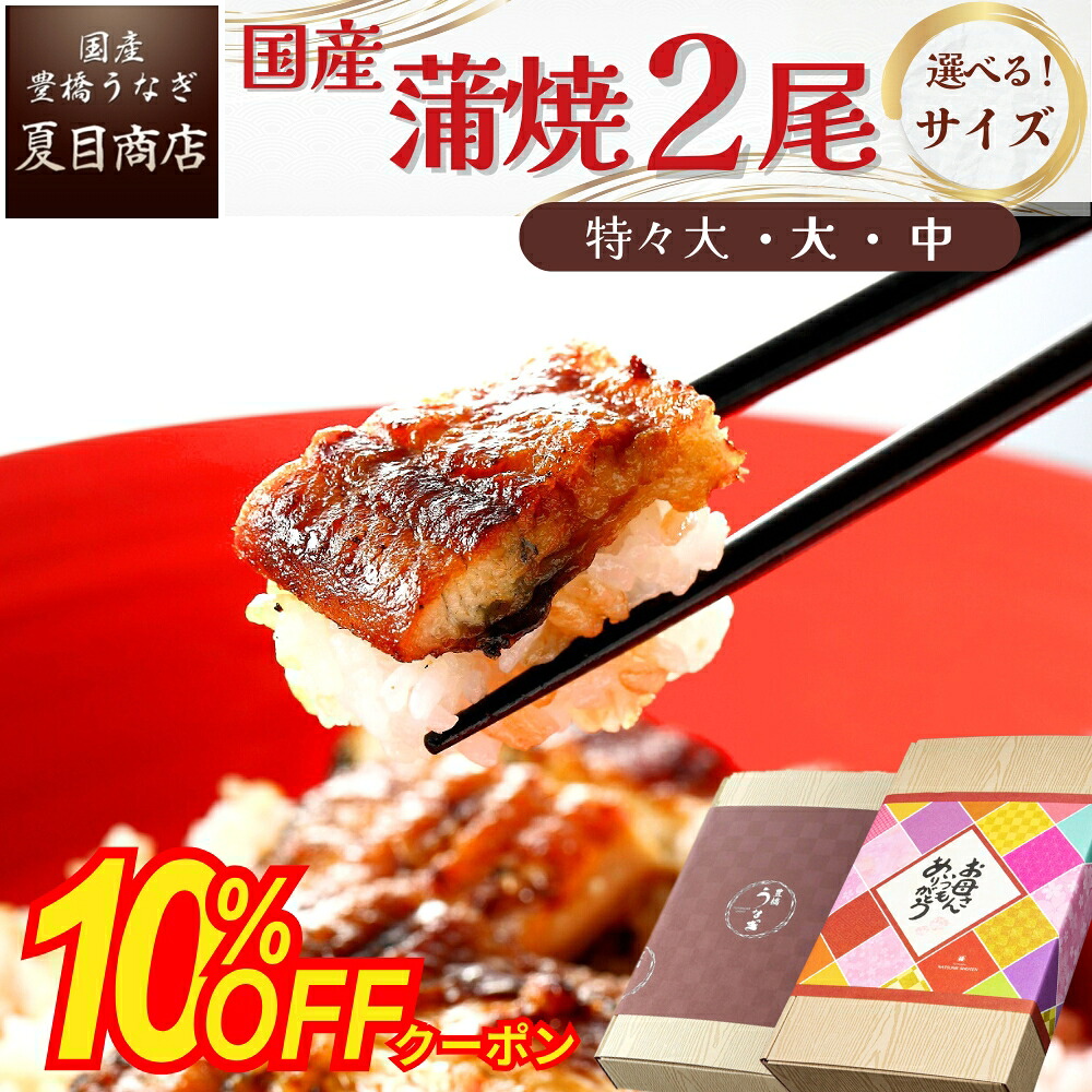 【10％OFF クーポン！4/26まで】母の日 ギフト 早割 うなぎ 国産 豊橋産 蒲焼き 2尾 選べるサイズ 中・大・特々大 約2人前～約4人前 送料無料 愛知県産 専門店 誕生日 食べ物 真空パック プレゼント 贈り物 内祝い 60代 70代 80代 花以外