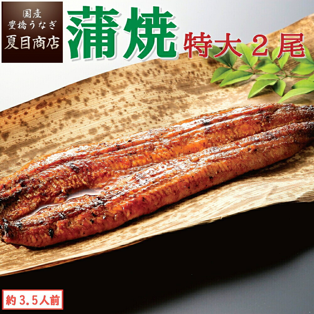 【エントリーでP5倍確定！】うなぎ蒲焼き 特大181-210g×2尾 約3.5人前 <br> 送料無料 国産 愛知県産 専門店 39(サンキュー)ショップ 父の日 お中元 誕生日 プレゼント 食べ物 真空パック 贈り物 ギフト