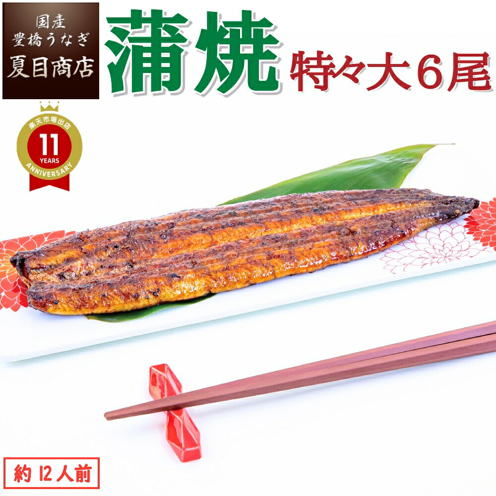 うなぎ蒲焼 特々大 211-249g×6尾 国産愛知県産