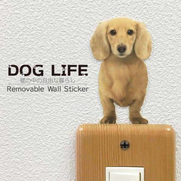 犬 カラーウォールステッカー DOG LIFE 幸せなふたりに贈る結婚祝い Color 国内即発送 ミニチュアダックスフンド クリームB カラー Wall グッズ Story インテリア 雑貨 シール 壁 ステッカー