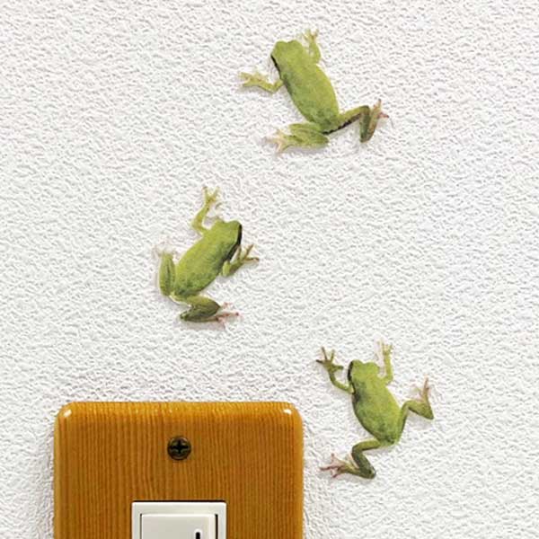 楽天市場 カエル グッズ Frogs Color アマガエル カラー ウォールステッカー カエル雑貨 爬虫類 インテリア かえるグッズ 壁 シール Wall Story Toyo Labo Shop