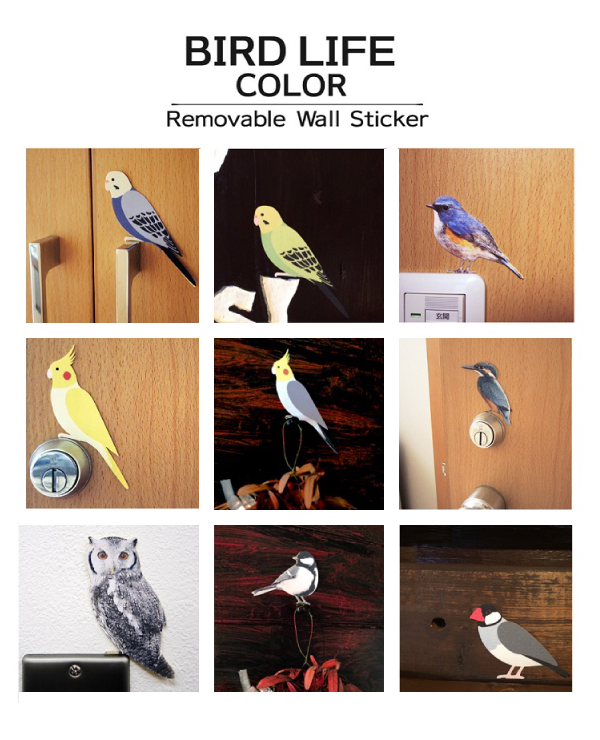 楽天市場 鳥 カラーウォールステッカー Bird Life Color ブンチョウ カラー コンパニオンバード 小鳥 文鳥 グッズ 動物 アニマル 鳥雑貨 壁 シール Wall Story ウォールストーリー Toyo Labo Shop