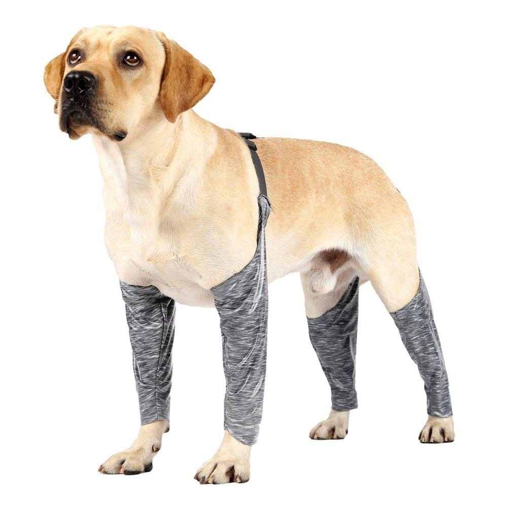 犬のリハビリテーション Amazon | 犬用 リハビリ 膝サポーター 犬 介護 ハーネス