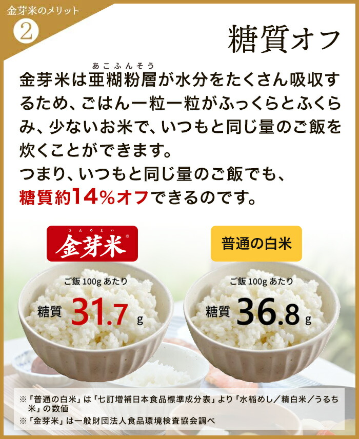 RAOH　精米 精米9㎏】石井米コシヒカリ〈令和6年産〉 | 石井米