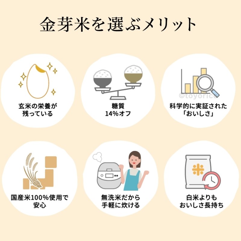 無洗米 金芽米 ハイセレクト 9kg(4.5kg×2袋) 国内産10割 無洗米 工場