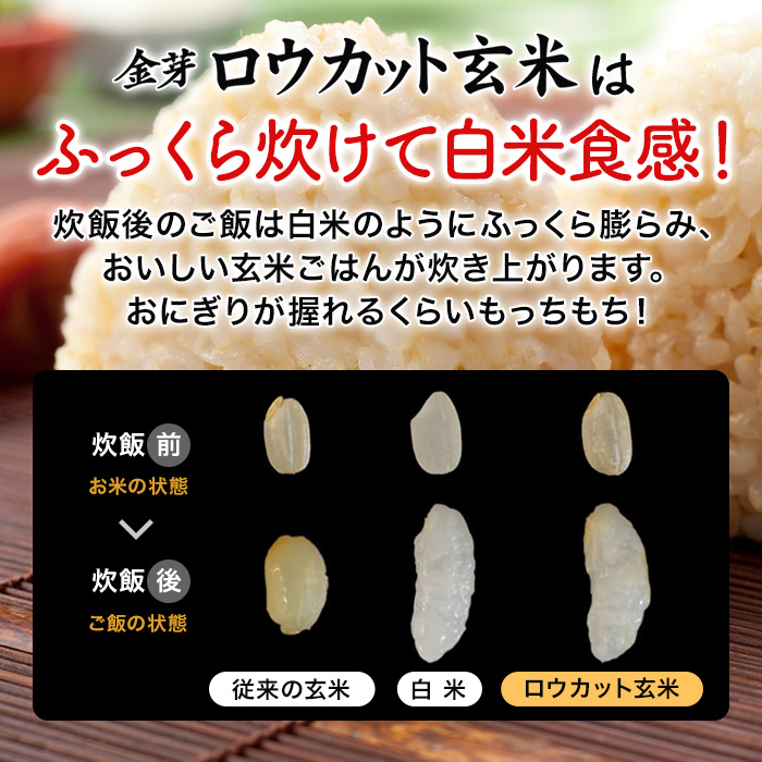 金芽ロウカット玄米 長野県産 コシヒカリ 2kg(1kg ×2袋) CM放送中 令和