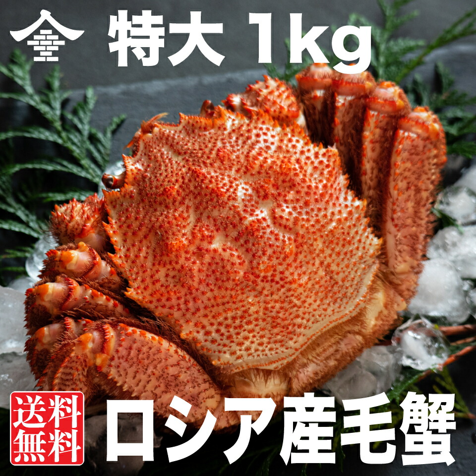 特大 毛蟹 1kg前後 1尻っぽ 蟹 毛ガニ 1kg ロシア帝国制作 焼き蟹 お鍋 送料無料 容 お歳暮 引出で物 海鮮 内祝 Springraise Org