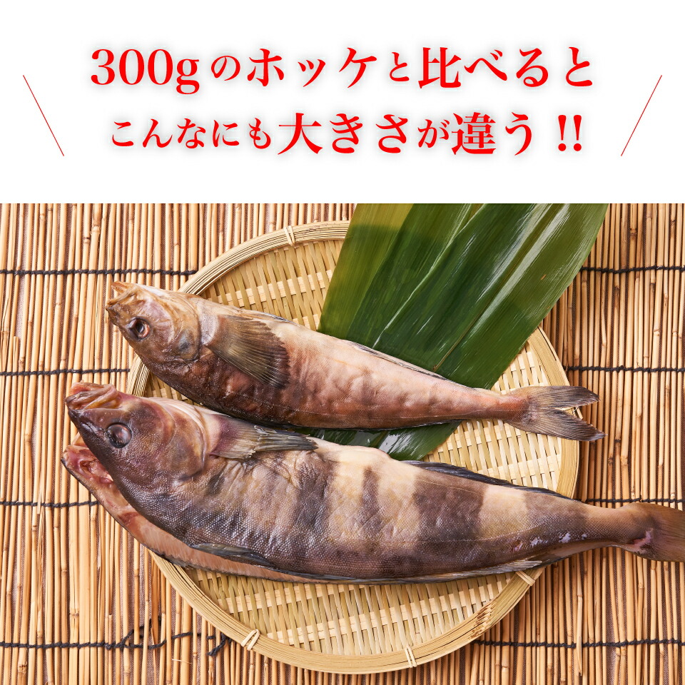 楽天市場 超特大縞ホッケと国産焼津塩さばセット 縞ホッケ700グラム前後1尾 焼津塩さば450グラム前後1尾 父の日 晩酌 お取り寄せ グルメ ほっけ さば 鯖 サバ おつまみ おうちごはん 豊洲マルシェ