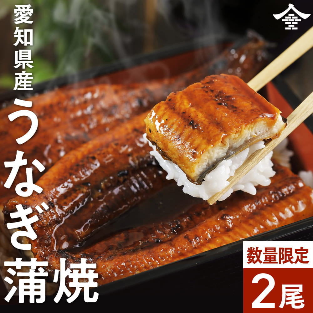 特大!!200g/1尾 うなぎ 蒲焼 国産 愛知県産  ２尾セット 鰻 冷凍便  土用丑の日 誕生日 お中元 お礼 内祝 父の日 ギフト 詰め合わせ 食べ物 鰻 蒲焼 夏バテ 防止 対策