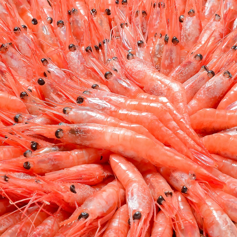 あまえび 甘海老 甘エビ 1kg お刺身用 大きい2Lサイズ 45尾前後 業務用