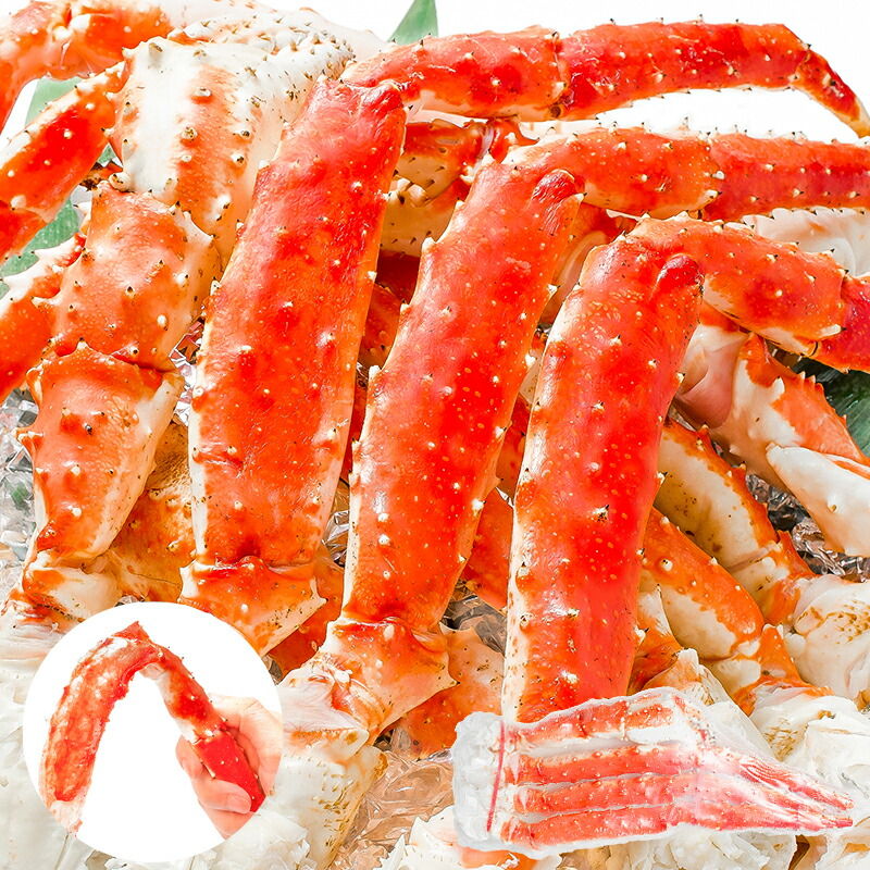 舶*来様 伊藤博文 ブロンズ 銅像 真鍮 オブジェ インテリア 白井雨山 時代