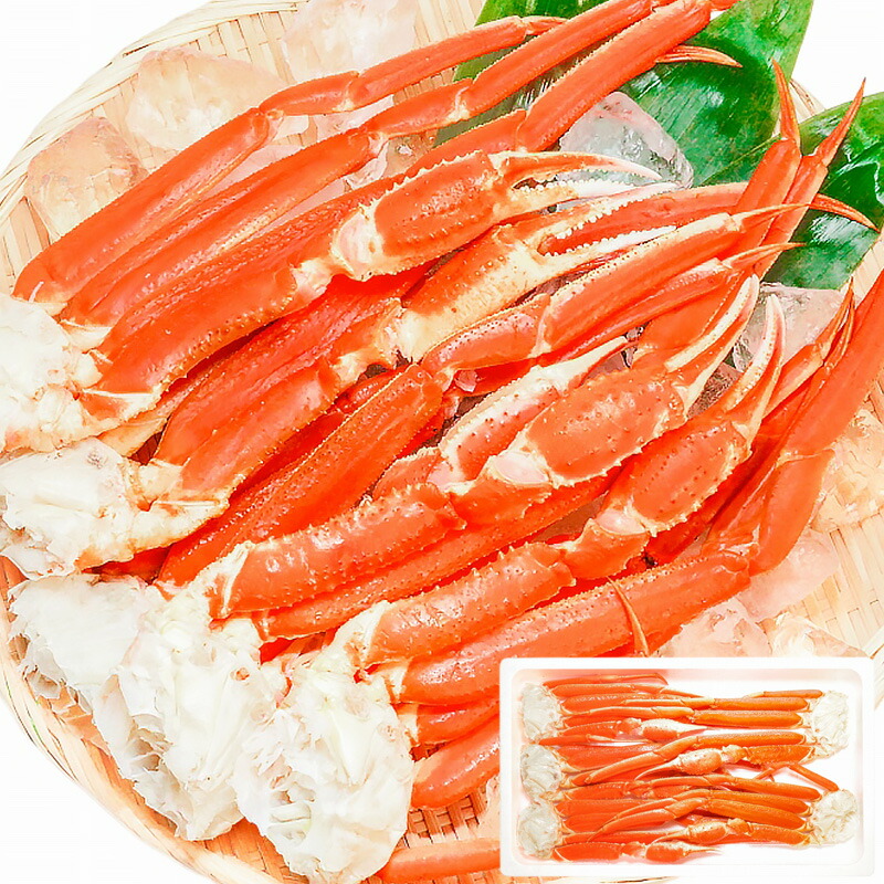 送料無料 ズワイガニ×1箱 3Lサイズ 2kg 本ズワイガニ5肩前後 解凍するだけでＯＫ ボイル冷凍ズワイガ二セクション ズワイガニ ずわいがに かに カニ 蟹 ずわい蟹 豊洲 かに鍋 焼きガニ 豊洲市場 ギフト