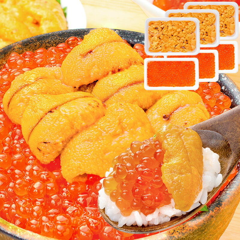 送料無料 豊洲市場のウニイクラ丼セット 6杯分 無添加生ウニ300g＆いくら醤油漬け300g 海鮮丼で約6杯分 うに ウニ いくら イクラ うにいくら丼 海鮮丼 手巻き寿司 寿司ネタ 刺身 福袋 豊洲市場 おせち ギフト 【FSJ】｜豊洲まぐろ問屋 11,469円
