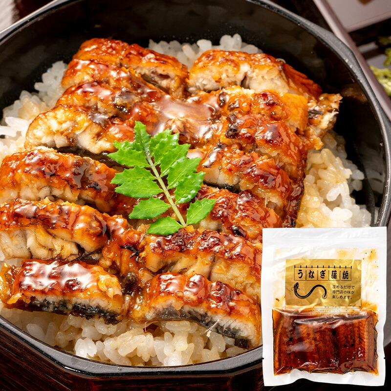送料無料 うなぎ蒲焼き 100g ×10パック 合計1kg うなぎ 鰻 ウナギ 土用の丑 うな丼 うな重 ひつまぶし カット済み 個包装 食べきりサイズ ギフト 豊洲市場