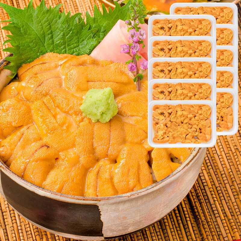 うに 冷凍生うに 無添加 100g×10パック 1kg 最高級Ａグレード うに丼約20杯分 ウニ ウニ丼 刺身 うにパスタ うにスパゲッティ うに軍艦 いちご煮 海鮮丼 手巻き寿司 寿司ねた 豊洲市場 豊洲市場 おせち 単品おせち ギフト【FSJ】