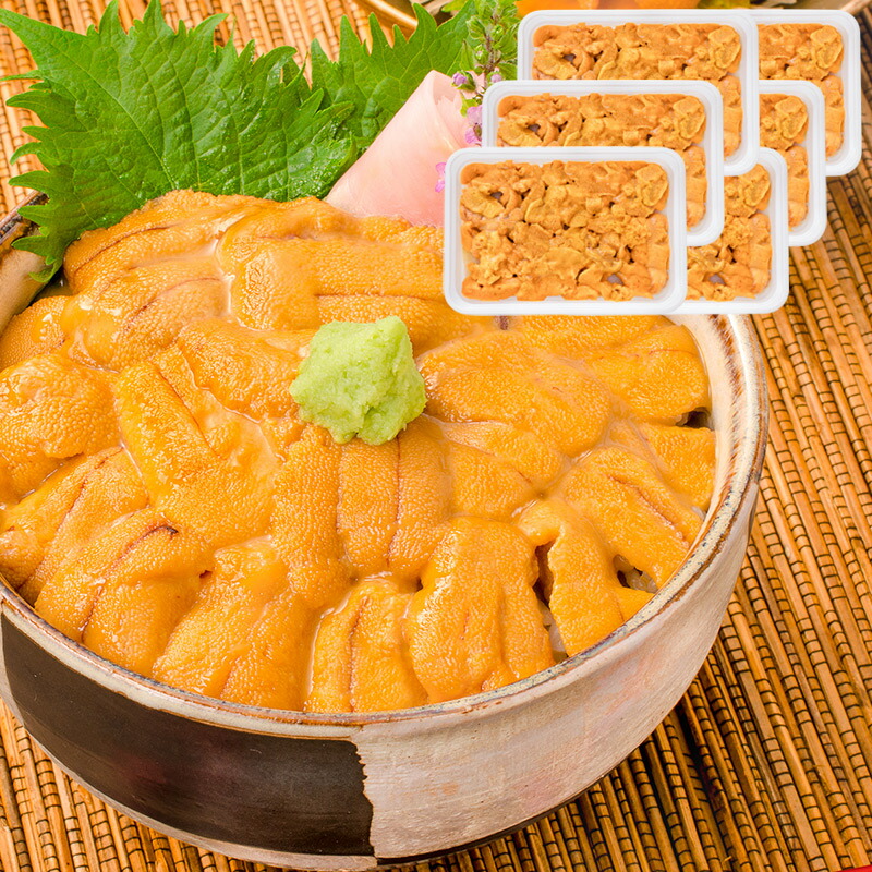 送料無料 うに 冷凍生うに 無添加 100g×6パック 最高級Ａグレード うに丼約12杯分のお試しサイズ ウニ ウニ丼 刺身 うにパスタ うにスパゲッティ うに軍艦 いちご煮 海鮮丼 手巻き寿司 寿司ねた 豊洲市場 おせち 単品おせち ギフト【FSJ】