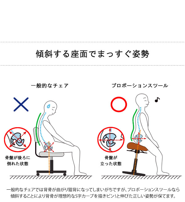 送料無料 プロポーションスツール ロータイプ チェア サポートチェア 骨盤矯正 座りながら運動 デスクワーク 業務効率化 イス 椅子 高さ調整 回転 オシャレ 可愛い 北欧 シンプル おしゃれ カワイイ Ch 800 septicin Com