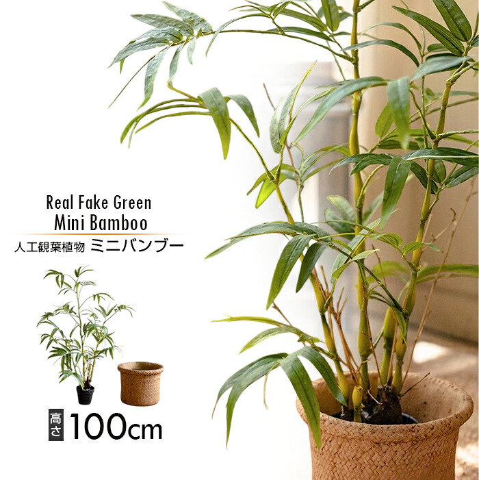 ★【今だけこの価格！】【送料無料】 リアルフェイクグリーン ミニバンブー シンプル 北欧風 ガーデニング インダストリアル 人工インテリア 造花 人気 おしゃれ 消臭 抗菌 生活雑貨 引っ越し祝い 贈り物 新築祝い プレゼント観葉植物
