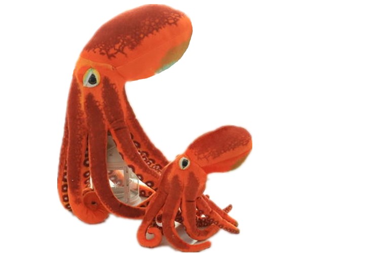 楽天市場 リアルなタコ抱き枕 たこぬいぐるみ 蛸海洋生物 柔らかい鮹 章魚 鱆 30cm トイらんど