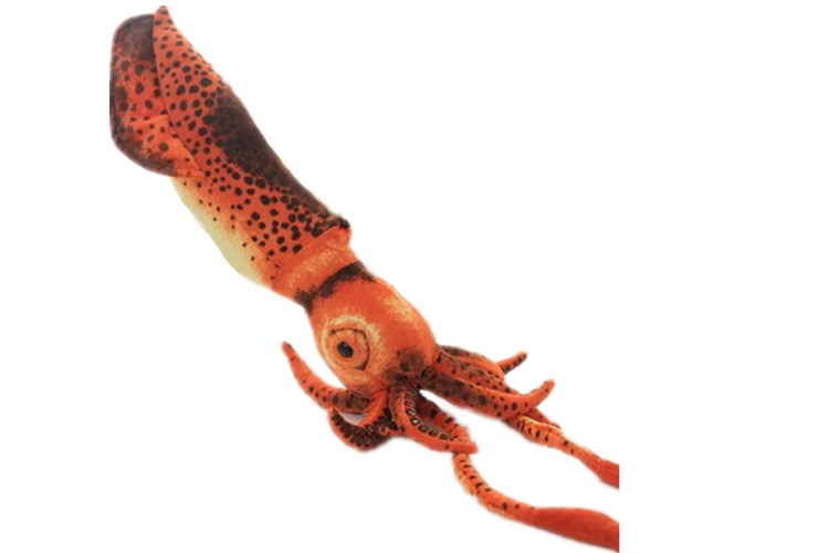楽天市場 イカ ぬいぐるみ リアル 烏賊 おもちゃ 柔魚 ツツイカ60cmリアルなダイオウイカのぬいぐるみ トイらんど 楽天市場 イカ ぬいぐるみ リアル 烏賊 おもちゃ 柔魚 ツツイカ60cmリアルなダイオウイカのぬいぐるみ トイらんど