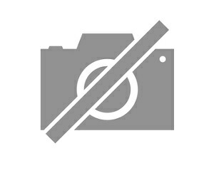 ハセガワ 1/12 逮捕しちゃうぞ 辻本夏実 (ライダースーツ) SP513 [問屋取寄]画像