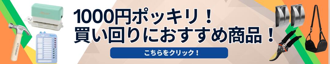 楽天市場】9月発売予定 予約 新品未開封 スペシャルBOX ポケモン