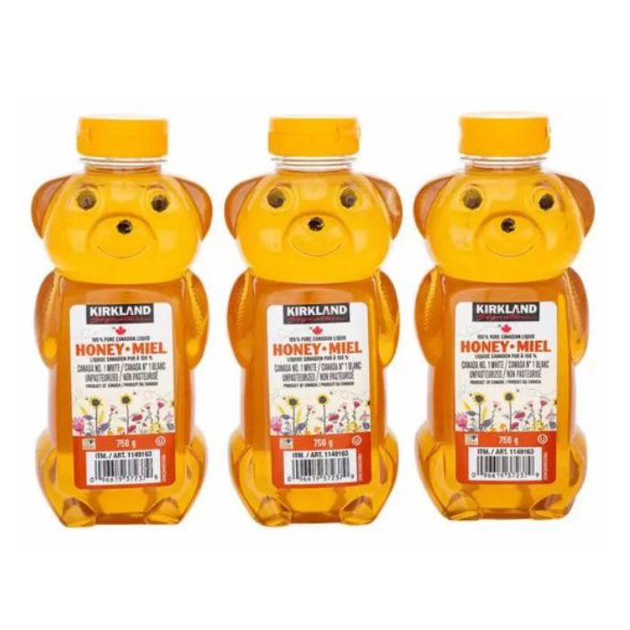 【3本セット】カークランドシグネチャー はちみつ ベアージャグ 750g ハチミツ 蜂蜜 くま パン ホットケーキトッピング 調味料 可愛い ボトル プレゼント 差し入れ ギフト画像