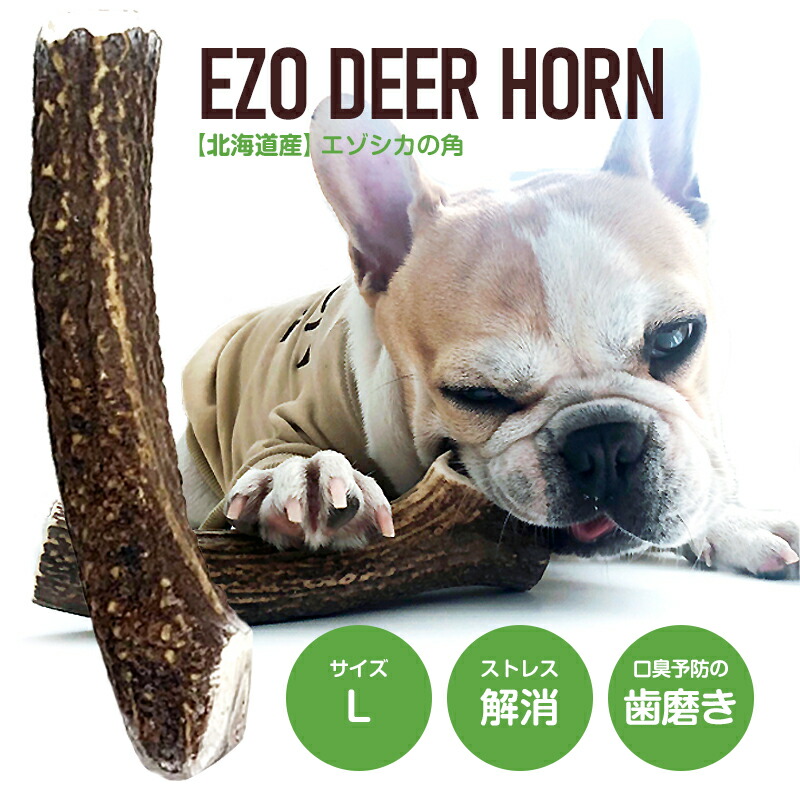 鹿の角 犬用 四つ割1本 １４cm前後 かみひとえ ペット 北海道 エゾ鹿 玩具 角 ギフト プレゼント デンタルケア 小型犬 中型犬 大型犬 Xajswzqjnm Godawaripowerispat Com
