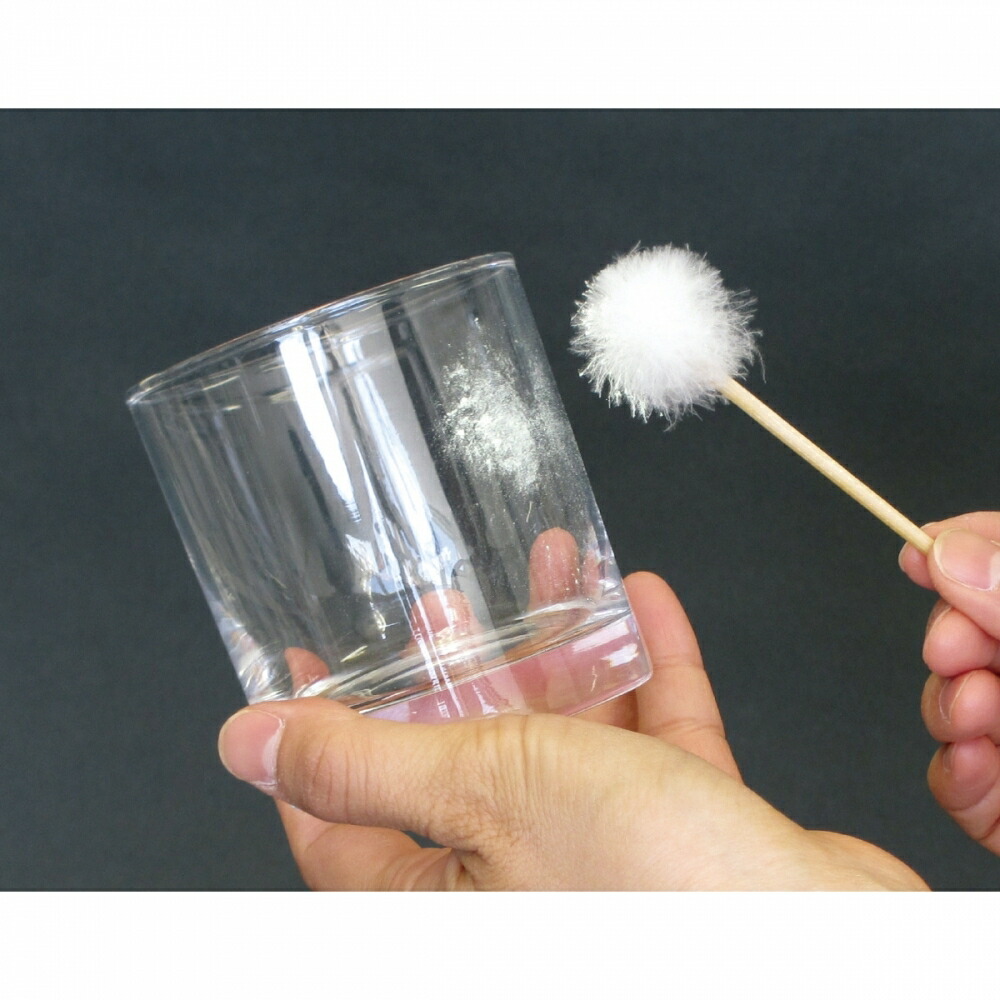 市場 犯人を捜せ 簡単本格捜査キット トイザらス 指紋採取キット