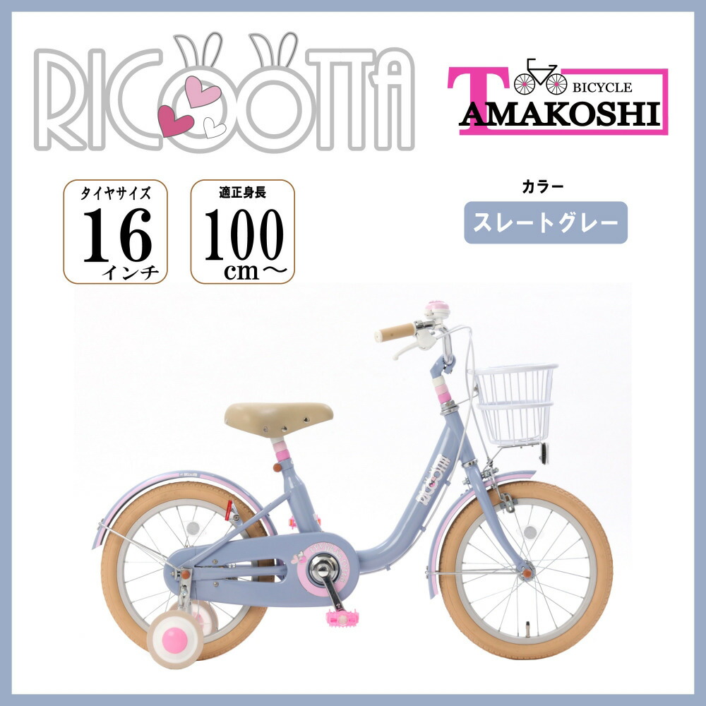 18インチ KENTヴァージ 自転車