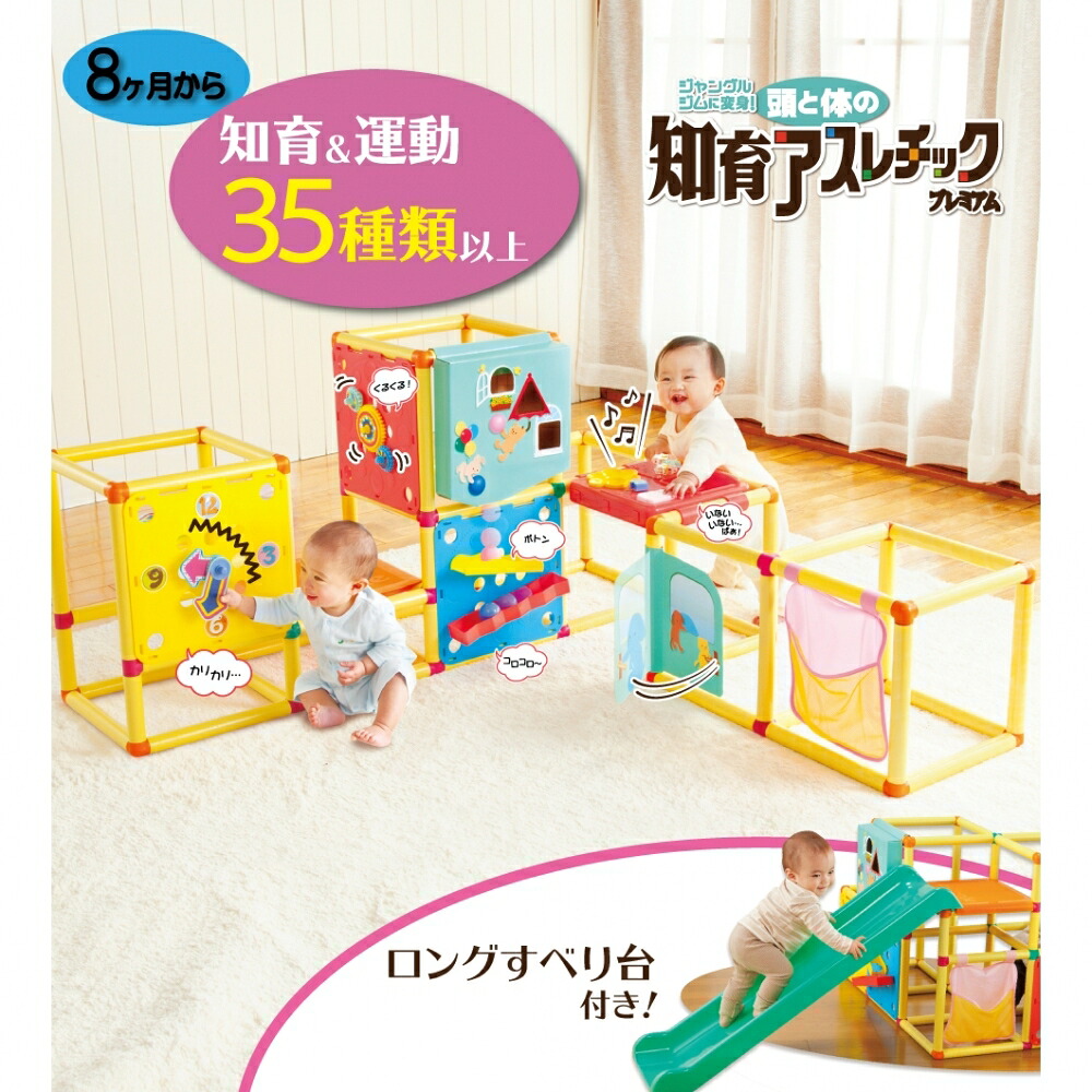 トイザらス限定 頭と体の知育アスレチック プレミアム【ジャングルジム 