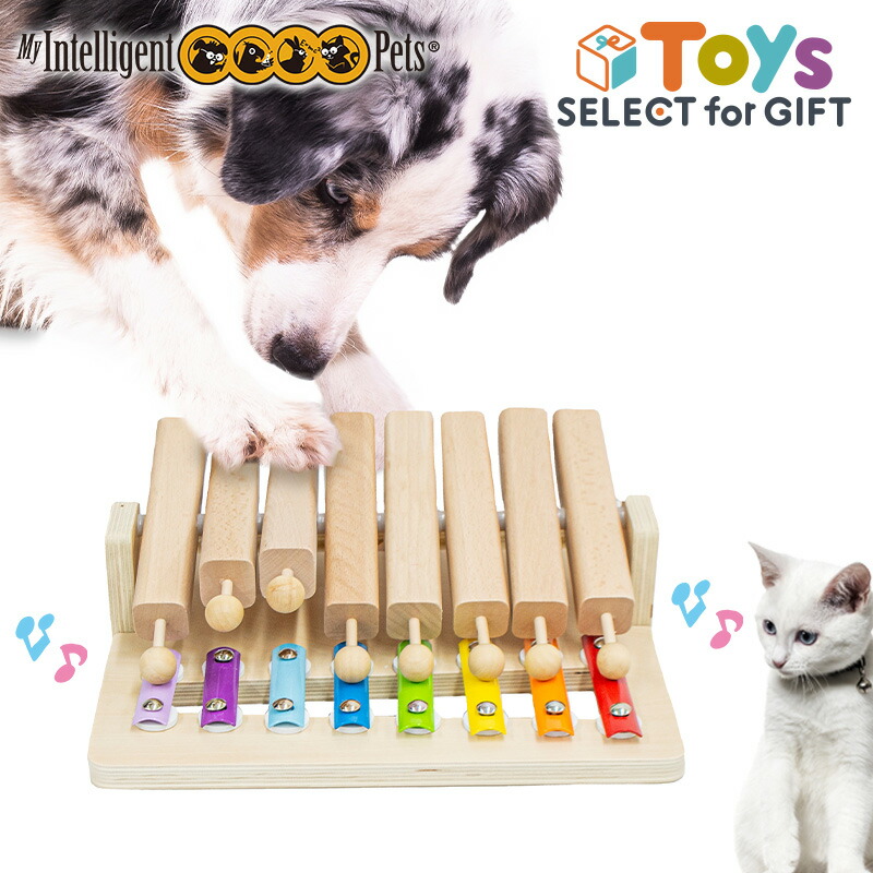 春夏新作モデル 楽天市場】ペット 知育玩具 木製 ペットピアノ Pet'sPiano おもちゃ
