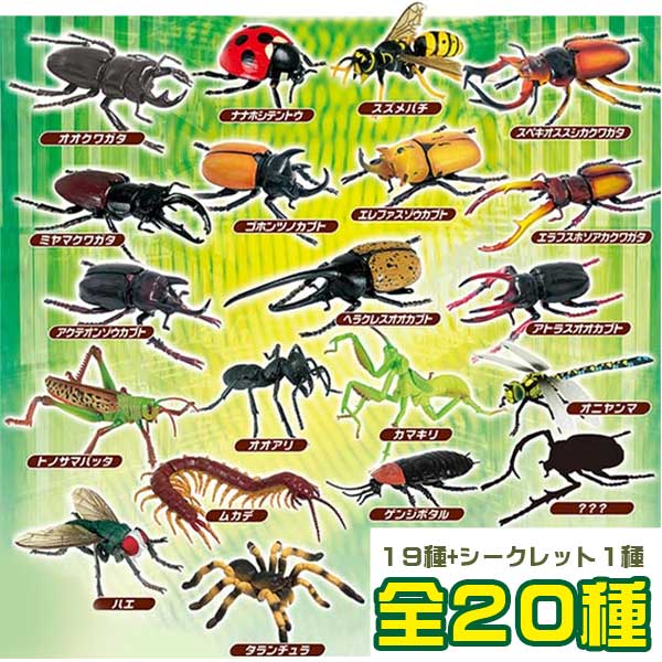 楽天市場 パズル フィギュア Hna 4dパズル 昆虫dx 個セット 立体パズル トイトイ おもちゃ 景品 雑貨店