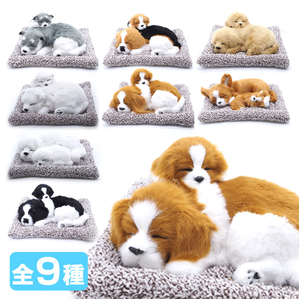 楽天市場】【楽天スーパーセール限定価格】おねむりわんちゃん親子 [全