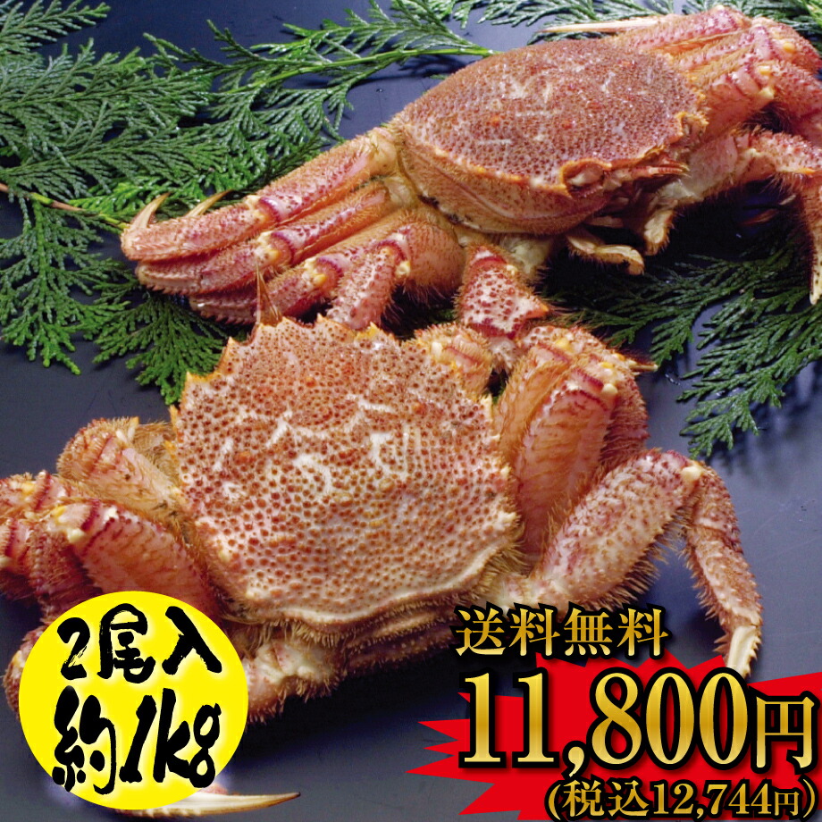 【 送料無料 】★サイズ指定不可のため 訳あり 特価★ かに の街からお届け♪ 極上 浜茹で毛蟹 1kg セット !!【 毛ガニ カニ 】【2尾セット】【ボイル対応】【 ギフト 】( カニ 毛ガニ ボイル 内祝い 出産祝い お返し 手土産 通販 )