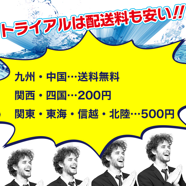 楽天市場 お茶 ペットボトル 2l 緑茶2l 12本 1本当り100円 九州 中国エリアは送料無料 鹿児島産茶葉100 使用 トライアルカンパニープライベートブランド お茶 ペットボトル T Pl