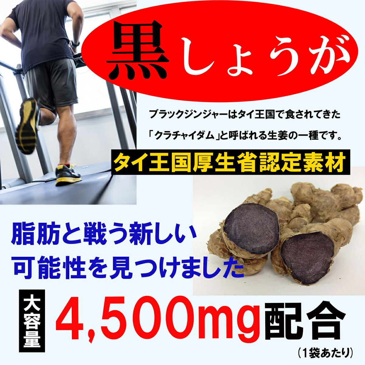 【楽天市場】MECHAKAT（メチャカット）賞味期限11月末まで 在庫限り 在庫特価 テレワーク 自粛太り 180粒