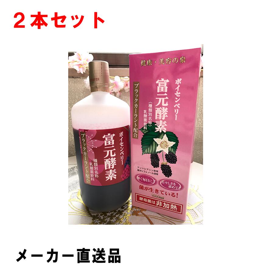 お金を節約 富元酵素 粉末ボイセンベリー 2g×90包 野生酵母パワー