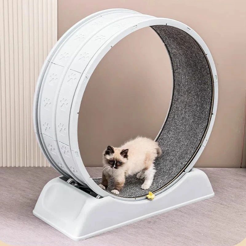 キャットホイール 猫 犬 ほっつき歩く 猫の拷問台 猫用トレッドミル 猫車輪 室内飼い 御部屋走者 運動すること不完全さ差し止める 可塑性物質原料品 猫用手あそび 低耳障りな音 精神的な統合飾り気のない