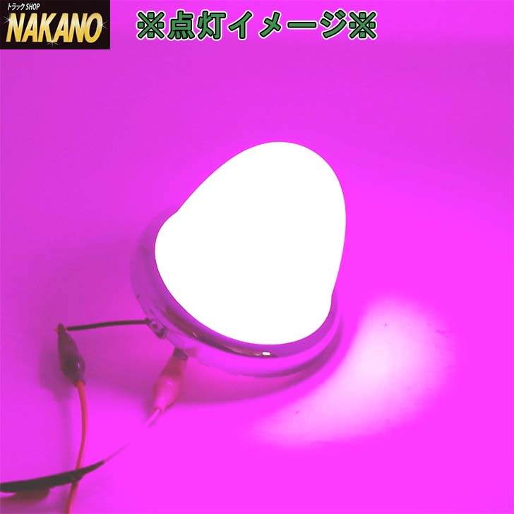 紫色マーカー ピンクボディ Amazon.co.jp: REPTICO LEDサイドマーカーランプ 24V トラック用