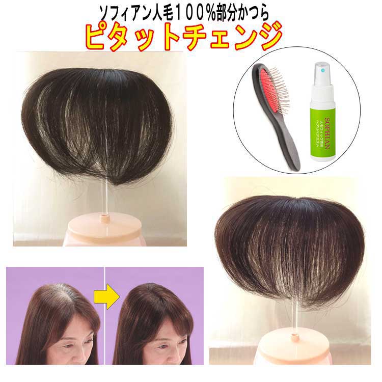 競売 頭皮部分隠しパウダーペン サットサット 薄毛 円形脱毛症隠し ブラック ヘアーファンデーション 日本製 500円玉くらいの円形脱毛にオススメです  www.gaviao.ba.gov.br