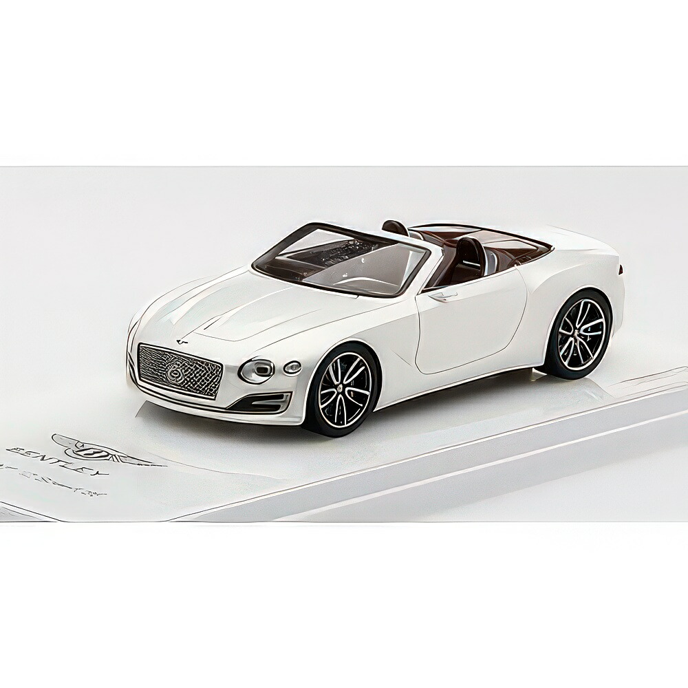 ベンお盆 EXP 12 素早さ 6E 白いこと 2017 / TrueScale 1/43 ミニカー