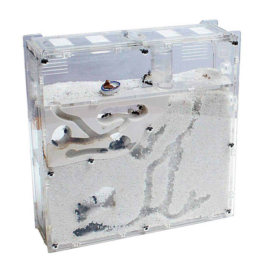 ★お値下げ中☆★生命科学研究所　セノリティクスいのちの実　３味×12袋セット新品 アース製薬 1カ月たっぷりうるおう プラセンタCゼリー 31本入
