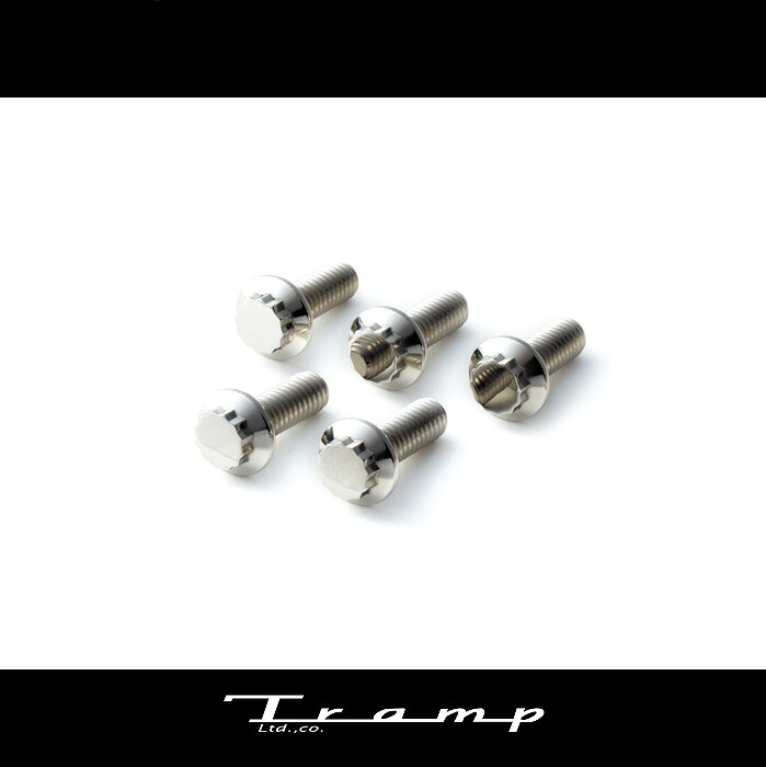 TRAMP CYCLE トランプサイクル / ステンレス製フロントローターボルト ナローグライド用（84-XL、-04DYNA）・BRAKING社製ブレーキローター用 ハーレーダビッドソン 社外品HARLEY DAVIDSON TOT-012F