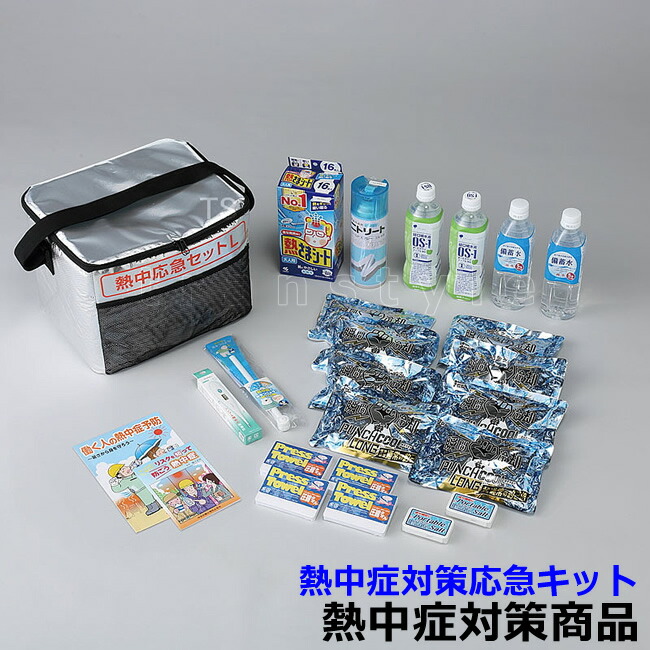 一心不乱症打つ手 一心不乱症その場しのぎ仕掛けるL (HO-995)  御役目 その場しのぎ持て成し 初動相応う まさかの時 暑さ打つ手