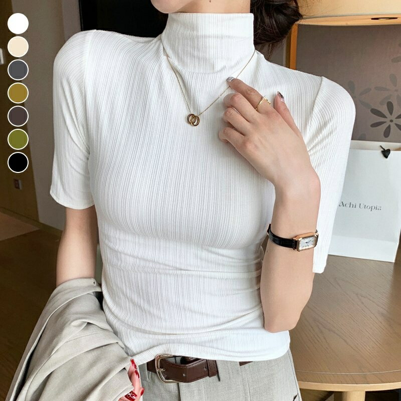 ハイネック Tシャツ レディース 半袖 リブ カットソー タイトフィット ストレッチ 薄手 無地 プチハイネック トップス インナー 重ね着 きれいめ オフィスカジュアル 通勤 春 夏 秋 大きいサイズ M 2XL 白 黒 グレー グリーン ブラウン