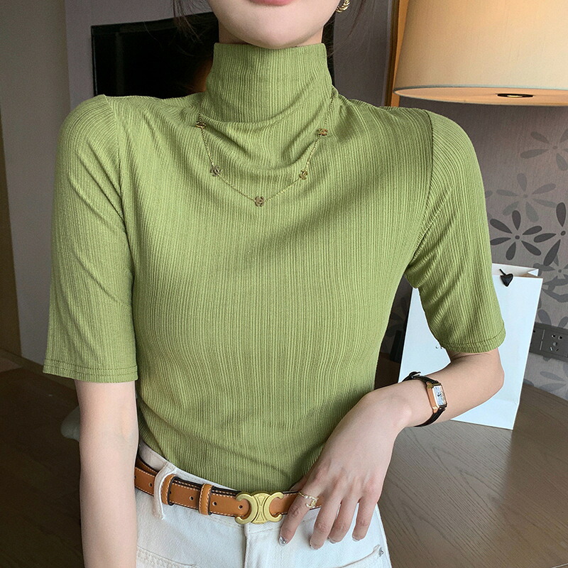 ハイネック Tシャツ レディース 半袖 リブ カットソー タイトフィット ストレッチ 薄手 無地 プチハイネック トップス インナー 重ね着 きれいめ オフィスカジュアル 通勤 春 夏 秋 大きいサイズ M 2XL 白 黒 グレー グリーン ブラウン