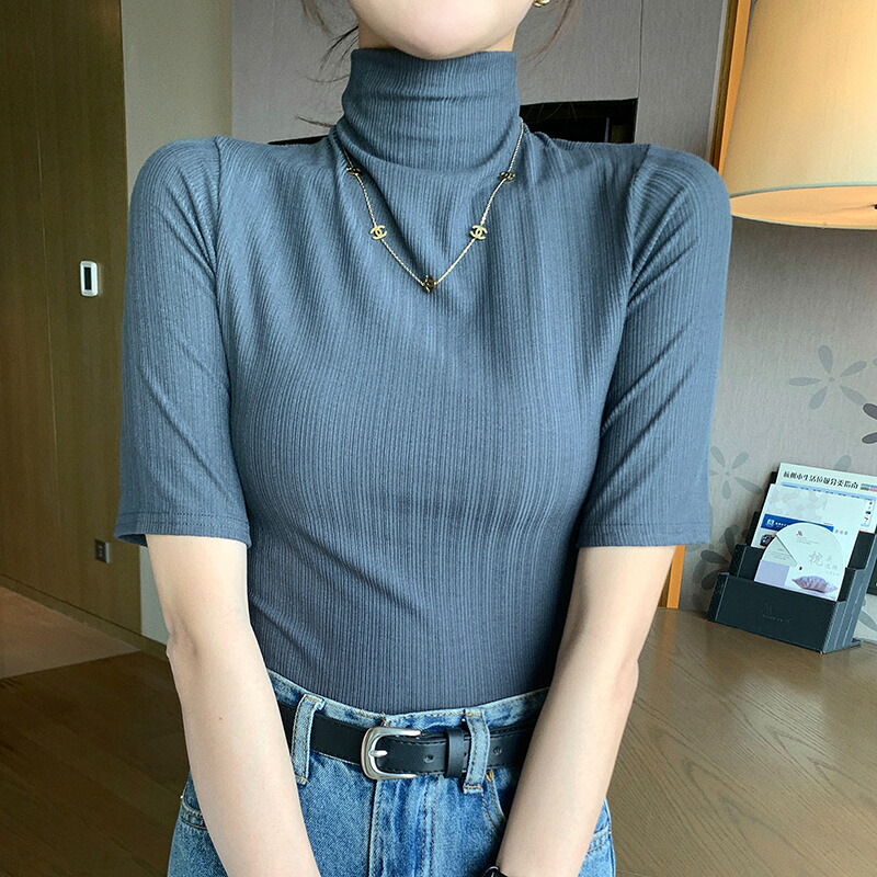 ハイネック Tシャツ レディース 半袖 リブ カットソー タイトフィット ストレッチ 薄手 無地 プチハイネック トップス インナー 重ね着 きれいめ オフィスカジュアル 通勤 春 夏 秋 大きいサイズ M 2XL 白 黒 グレー グリーン ブラウン