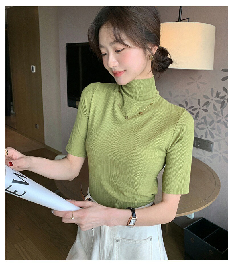 ハイネック Tシャツ レディース 半袖 リブ カットソー タイトフィット ストレッチ 薄手 無地 プチハイネック トップス インナー 重ね着 きれいめ オフィスカジュアル 通勤 春 夏 秋 大きいサイズ M 2XL 白 黒 グレー グリーン ブラウン